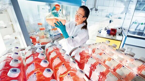 Bald sieht es in den Laboren so aus: Eine Bayer-Wissenschaftlerin mit Lösungen von Zellkulturen.