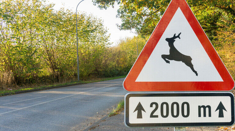Springendes Wild: Wer dieses Warnschild sieht, sollte besonders vorsichtig fahren. 
