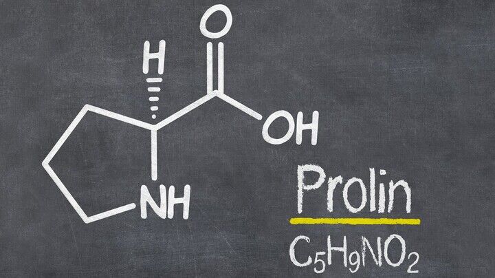 Die chemische Formel von Prolin: Mit dieser Aminosäure katalysierte Benjamin List im Jahr 2000 erstmals eine chemische Reaktion.
