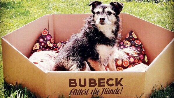 Kann als Hundekorb genutzt werden: Eine spezielle Versandbox für Hundeleckerli von Bubeck als Marketingaktion. Dafür gab es nun den zweiten Platz in der Kategorie E-Commerce.