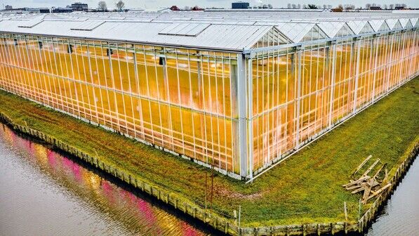 Es blüht: Anschlusstechnik aus Franken hilft bei der Beleuchtung von Pflanzen unter Glas. 