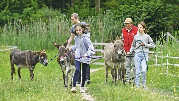 Spaziergang als Team: Auch für Jugendliche ist das Wandern mit den Eseln ein ganz besonderes Erlebnis.